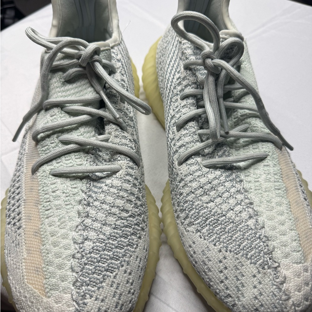 Adidas Cream and Gray Sneakers